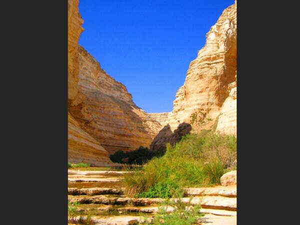 Le canyon d'Ein Avdat, dans le désert du Néguev, en Israël.