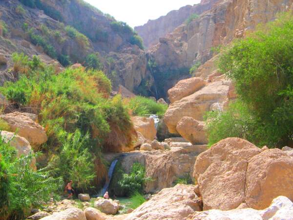 Le Nahal David, une cascade aux portes du désert de Judée, en Israël.