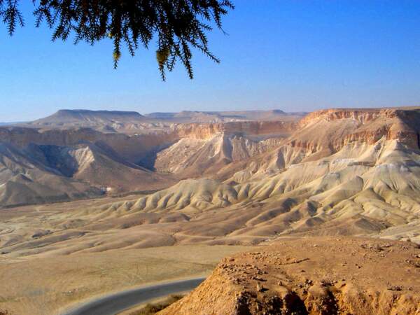Vue sur le parc national d’Ein Avdat, au coeur du désert du Néguev, en Israël. 