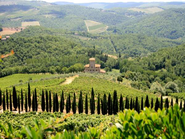 La verdure des paysages toscans, en Italie