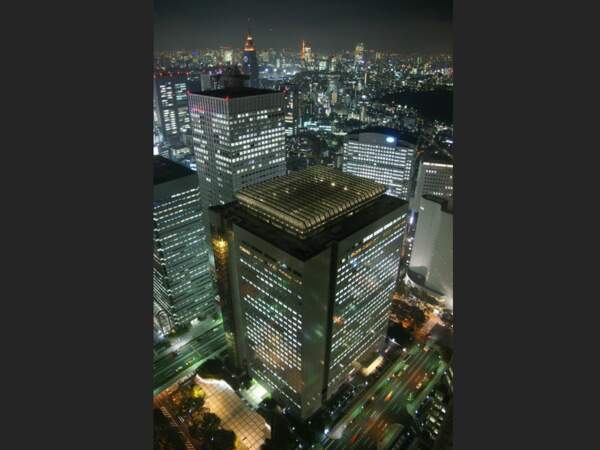 L'observatoire du siège du gouvernement métropolitain de Tokyo offre une vue magnifique sur l'ensemble de la ville (Japon).