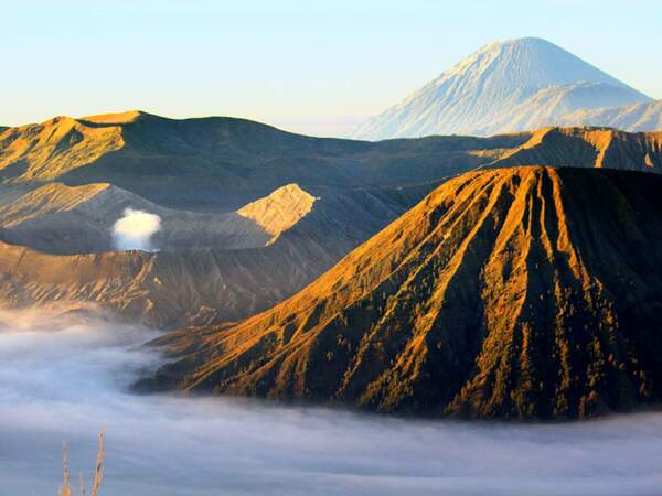 Bromo, Batok et Semeru, trois volcans de l'île de Java, en Indonésie