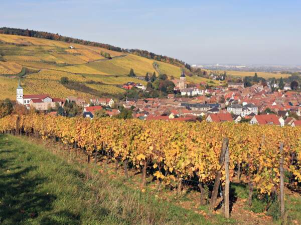Village de Barr, Bas-Rhin, Alsace, France