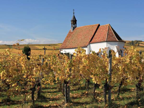 Chapelle Saint-Denis, vignoble de Wolxheim, Bas-Rhin, Alsace, France