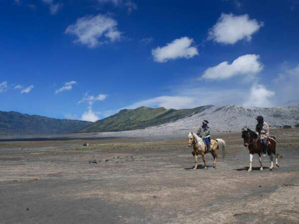 Balade à cheval près du volcan Bromo, sur l'île de Java, en Indonésie