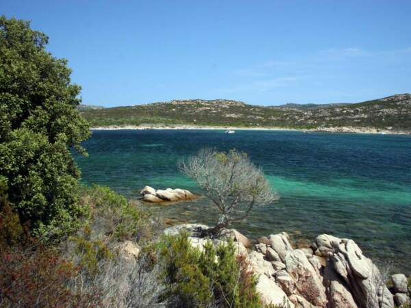 Une lagune paradisiaque en Corse. 