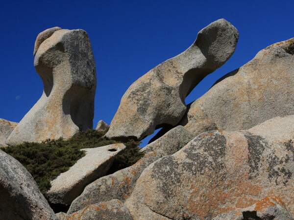 Des rochers sculptés par le vent à Capo Testa, près de Santa Teresa, en Sardaigne, en Italie.