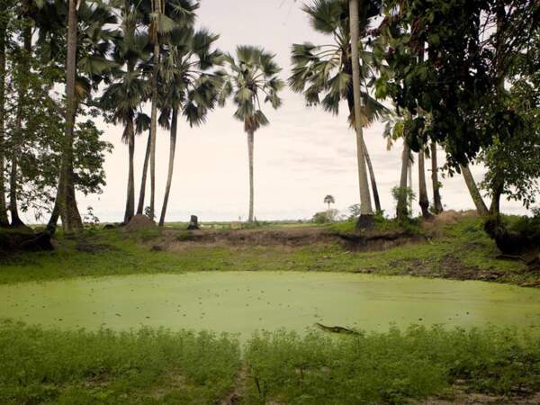 Lac d’eau de pluie, île de Carabane, Casamance Sénégal
