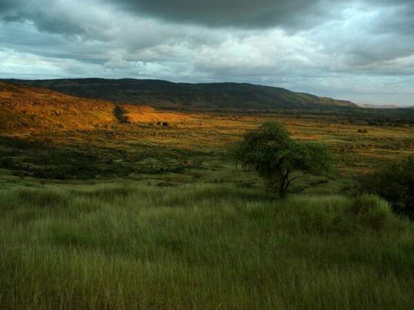 Paysage de savane dans le nord de Madagascar