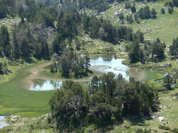 Le lac de l'île, dans les Pyrénées