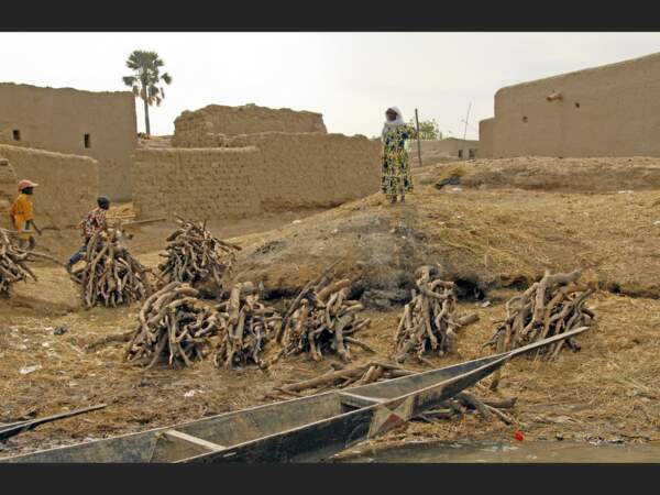 Fagots de bois à Sohanna, au Mali