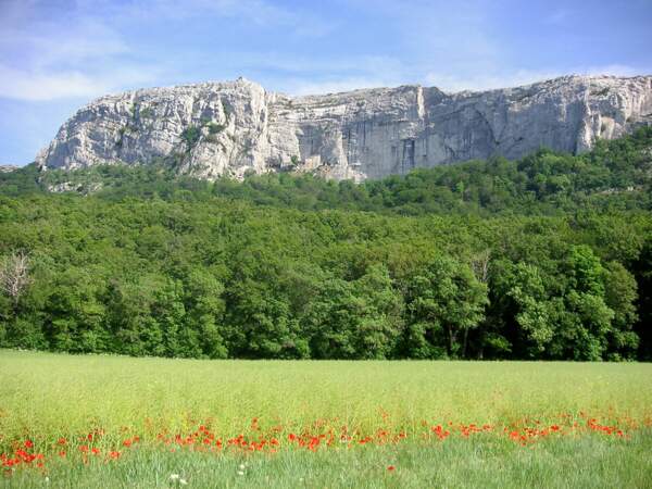 La montagne de la Sainte Baume se trouve à une trentaine de minutes de Marseille (France).
