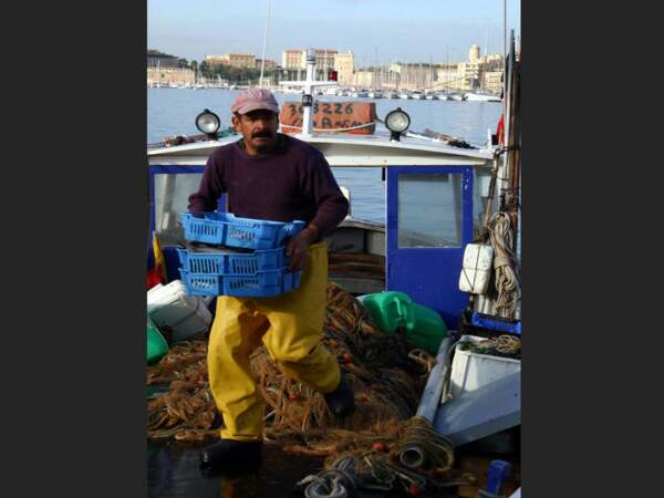 Un pêcheur décharge sa pêche du jour sur le Vieux Port de Marseille, en Provence-Alpes-Côtes d’Azur, en France