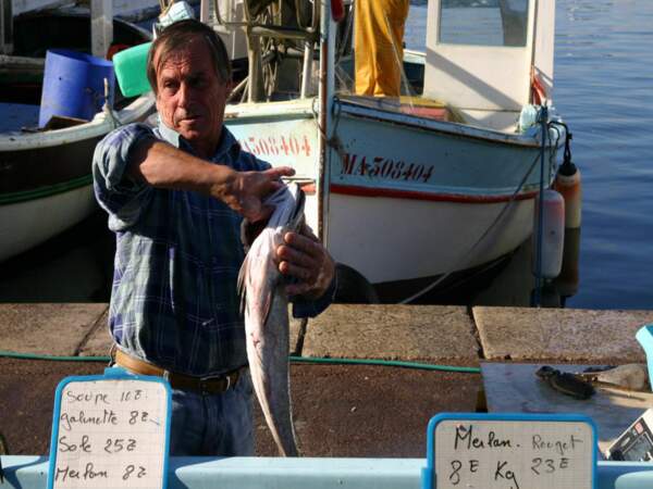 Un pêcheur prépare un poisson sur le Vieux Port de Marseille, en Provence-Alpes-Côtes d’Azur, en France