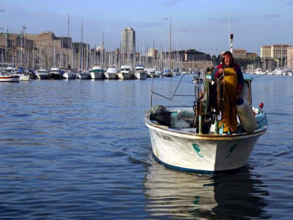 Un pêcheur de retour dans le Vieux Port de Marseille, en Provence-Alpes-Côtes d’Azur, en France