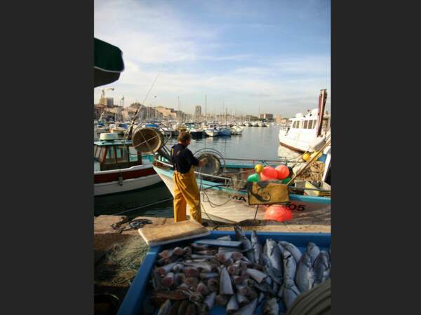 Un pêcheur range son matériel dans le Vieux Port de Marseille, en Provence-Alpes-Côtes d’Azur, en France