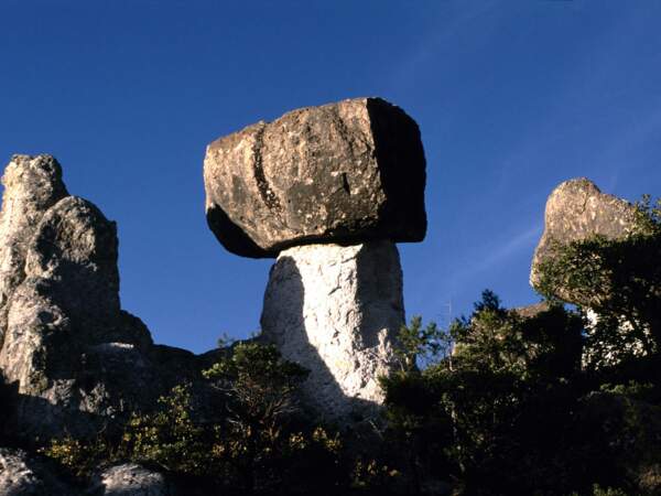 Champignons de pierre formés par l’érosion, dans la Sierra Tarahumara, au Mexique