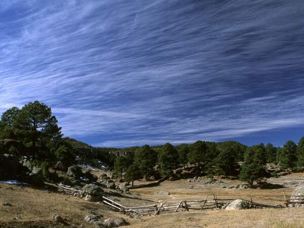 Le paysage de la Sierra Tarahumara, au Mexique, sculpté par le temps