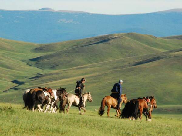 Dans la région du monastère de Tuvkhun, dans le centre de la Mongolie