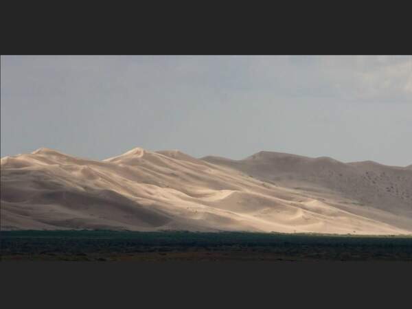 Les dunes de Khongor, dans le désert de Gobi, en Mongolie, sont surnommées « les dunes chantantes ».