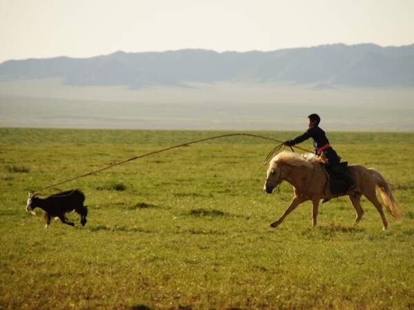 Jeune cowboy des steppes en Mongolie