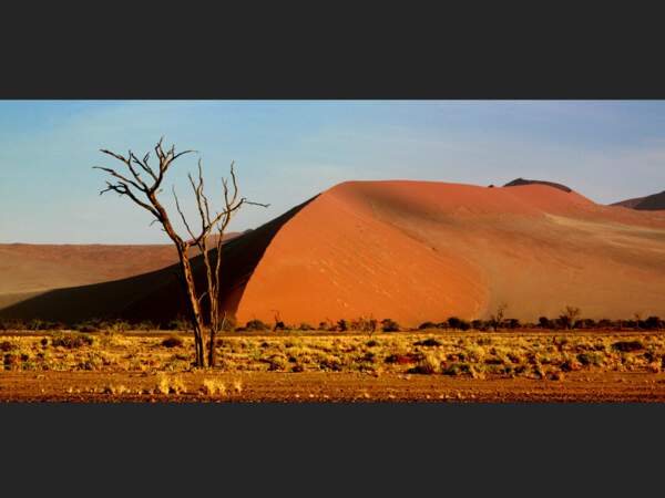 L'une des dunes de Sossusvlei dans le désert du Namib, dans le parc national de Namib-Naukluft, Hardap, Namibie