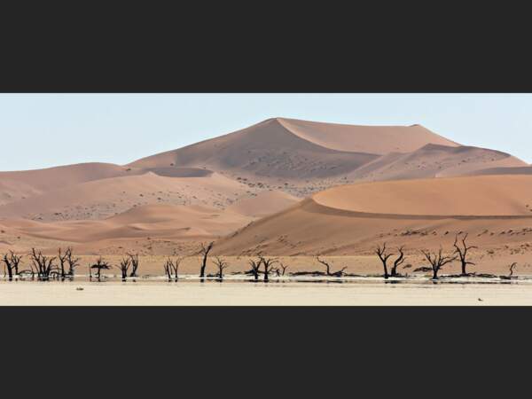 Les acacias de Deadvlei, en Namibie.