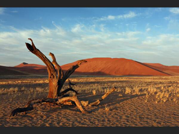 Dune 45 dans le désert du Namib, en Namibie.