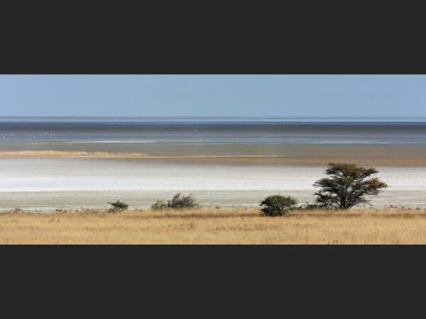 Lac asséché dans le Parc National d’Etosha, en Namibie.