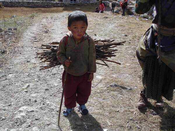Enfant portant du bois, Népal