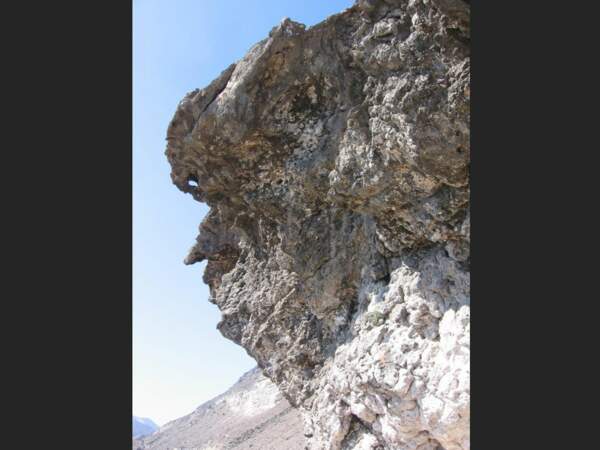 Ce rocher, à Al Mughsayl, a un profil anthropomorphe (Oman).