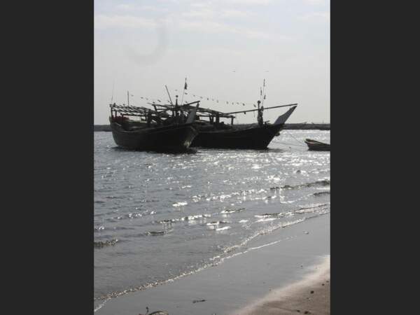 Certains bateaux traditionnels arabes sont appelés « dhow » (Oman).