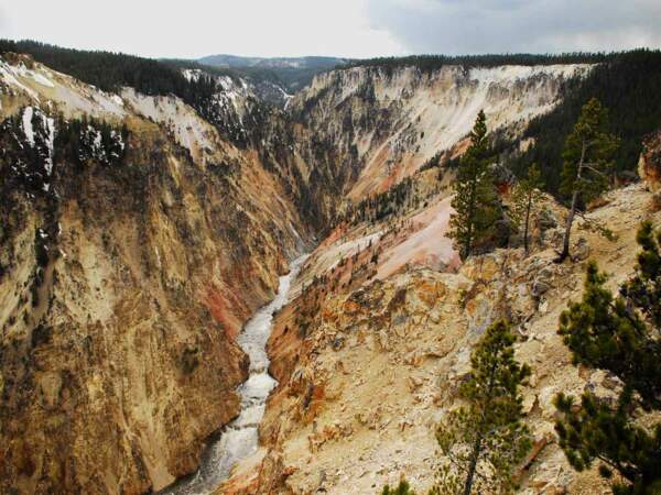 La rivière Yellowstone, dans le Wyoming, aux Etats-Unis.