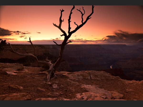 Le Grand Canyon au crépuscule, aux Etats-Unis