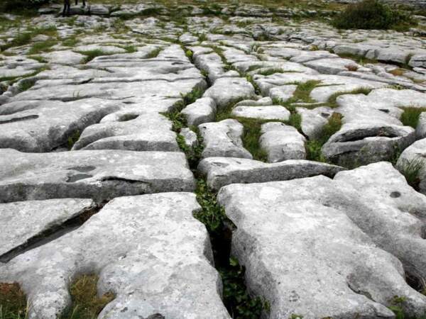 Le plateau pierreux du Burren, dans le comté de Clare, en Irlande.