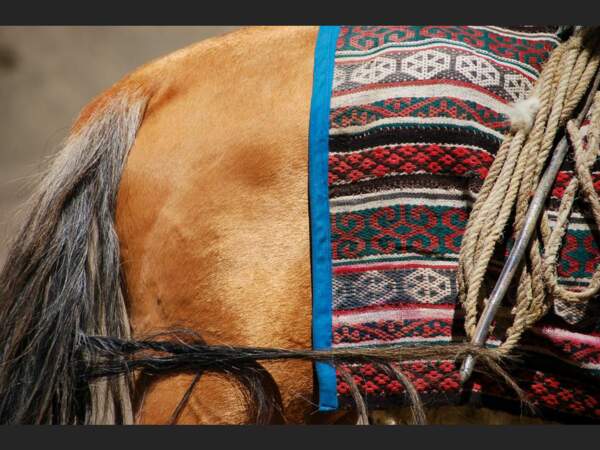 Tapis traditionnel sur le dos d’un cheval (Pamir, Tadjikistan).
