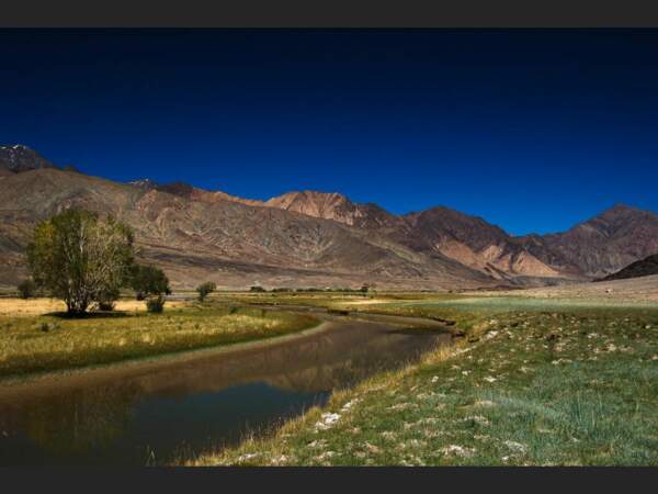 Ce cours d’eau et ces pâturages sont comme une oasis dans cet univers minéral (Pamir, Tadjikistan).