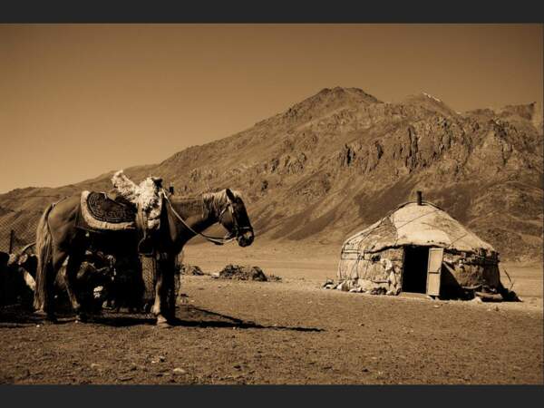 Les chevaux attendent leurs cavaliers (Pamir, Tadjikistan).