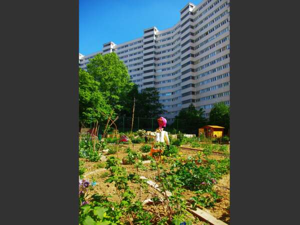 Dans le XVe arrondissement de Paris, le jardin partagé du quartier des Périchaux permet aux résidents de cultiver légumes, fruits et fleurs.