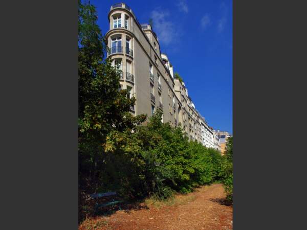 Suivant le tracé de la Petite Ceinture du XVIe arrondissement de Paris, le sentier nature est l’occasion de redécouvrir la biodiversité à Paris.