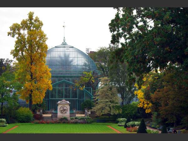 Dans le bois de Boulogne, le jardin des serres d’Auteuil est un lieu idéal pour prendre l’air.