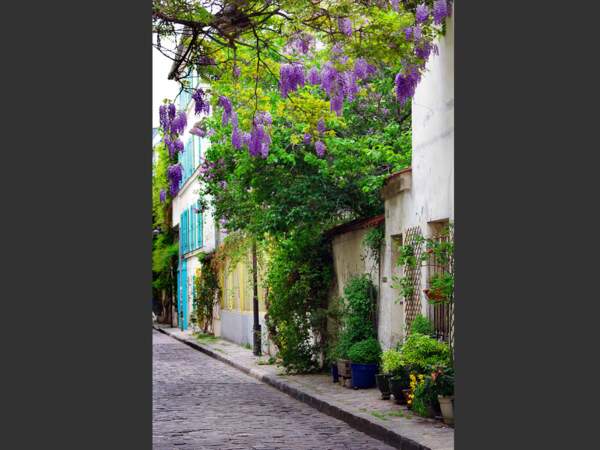 Fleurie et étroite, la petite rue des Thermopyles séduit par son allure d’impasse de village en plein Paris.