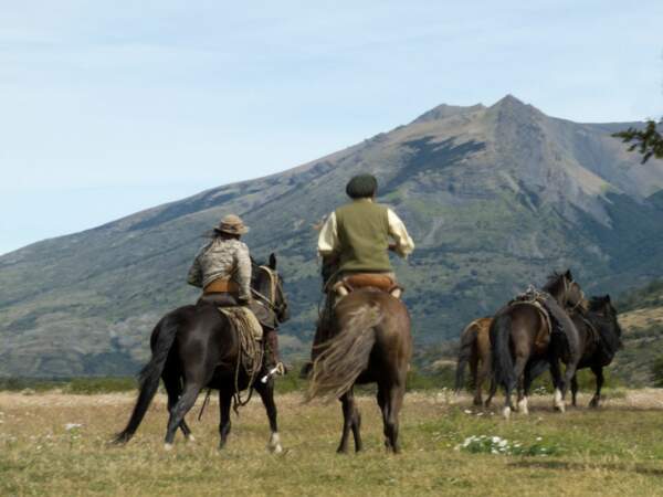 Des gauchos chevauchent dans le parc national Torres del Paine, Magallanes, Chili