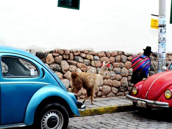 Scène de vie à Cuzco, au Pérou. 