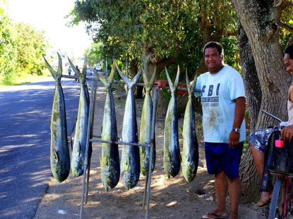 Pêche à Moorea, en Polynésie