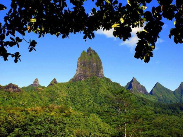 Mont Mouaroa à Moorea, en Polynésie