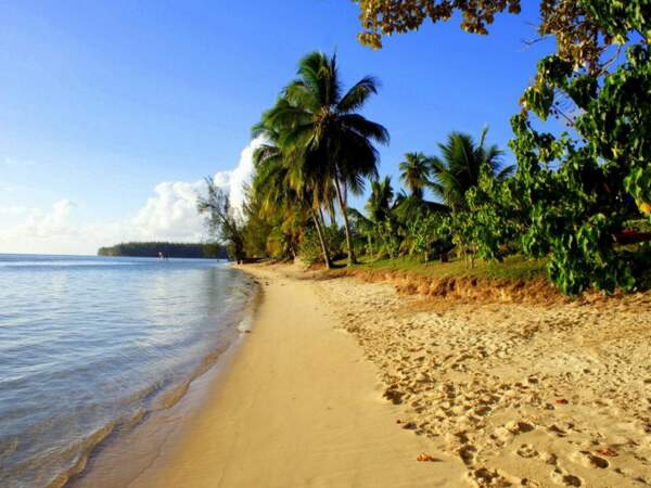 Plage à Moorea, en Polynésie