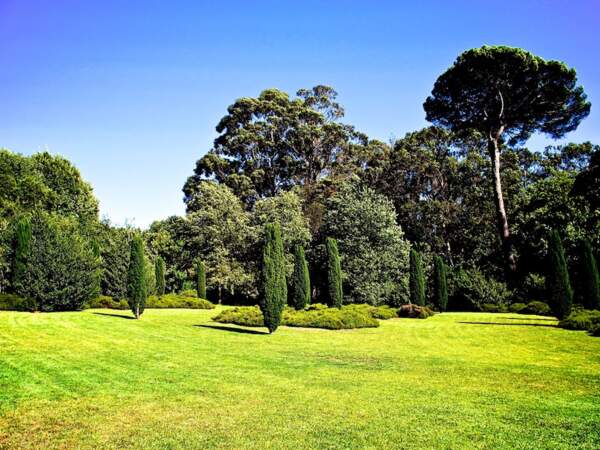 Verdure omniprésente dans le parc Serralves, à Porto, au Portugal