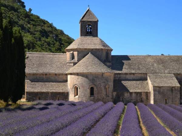 L'abbaye de Sénanque, à Gordes, dans le Vaucluse (Provence-Alpes-Côte-d'Azur).