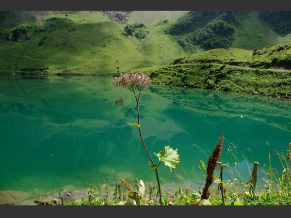 Les belles couleurs du lac de Lioson, en Suisse.